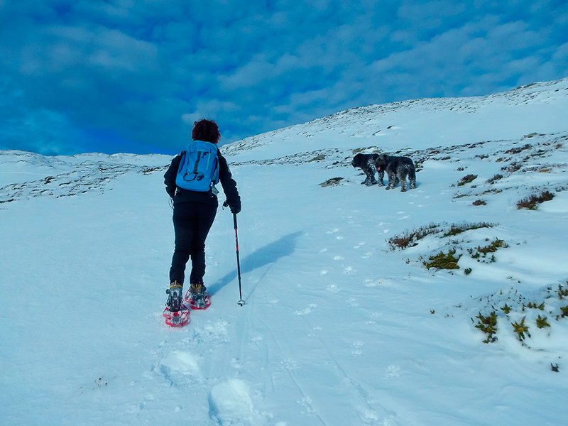 Excursión Raquetas La Lunada Caliza Guías